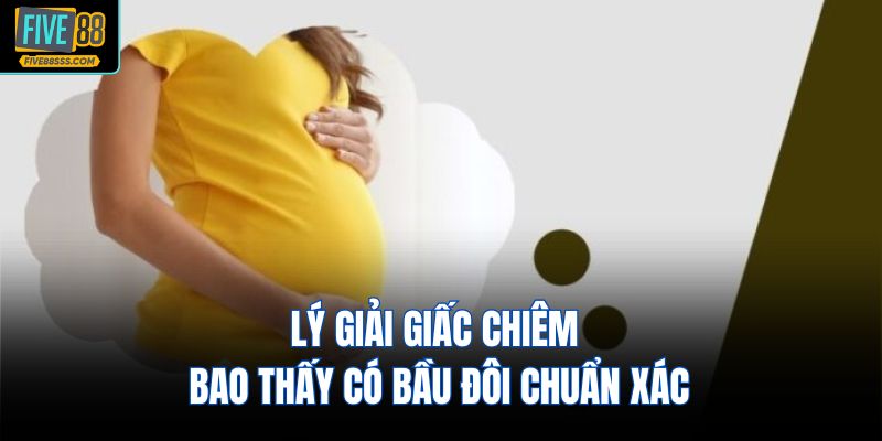Lý giải giấc chiêm bao thấy có bầu đôi chuẩn xác